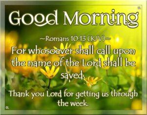 Good Morning Bible Verses With Flowers - Bible Paradise