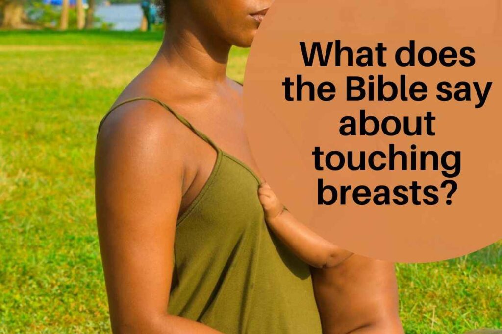 What Does The Bible Say About Touching Breasts Before Marriage - Bible